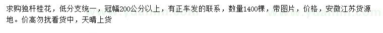 求購冠幅200公分以上獨桿桂花