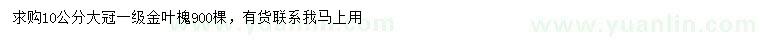 求購10公分金葉槐