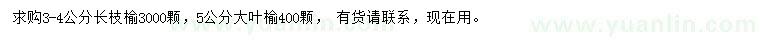 求購3-4公分長枝榆、5公分大葉榆