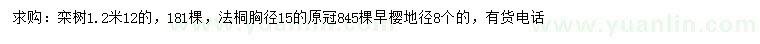 求購欒樹、法桐、早櫻