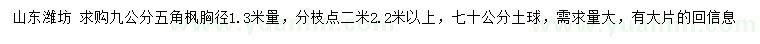 求購胸徑1.3米量9公分五角楓