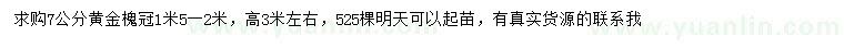 求購7公分黃金槐