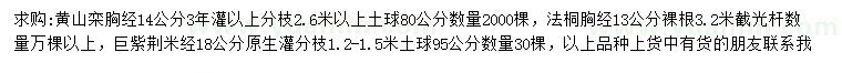 求購黃山欒、法桐、巨紫荊