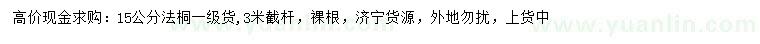求購(gòu)15公分法桐
