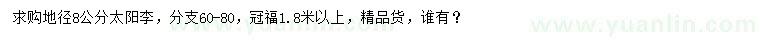求購地徑8公分太陽李