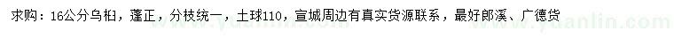 求購(gòu)16公分烏桕