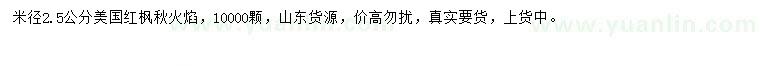 求購米徑2.5公分美國紅楓