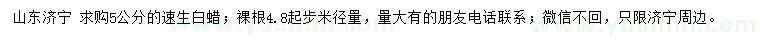 求購(gòu)5公分速生白蠟