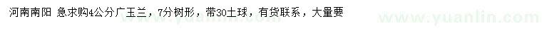 求購4公分廣玉蘭