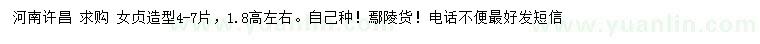 求購(gòu)高1.8米左右貞造型