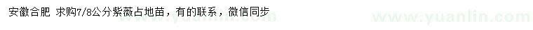 求購7、8公分紫薇
