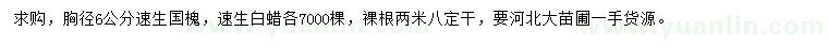 求購胸徑6公分速生國槐、速生白蠟