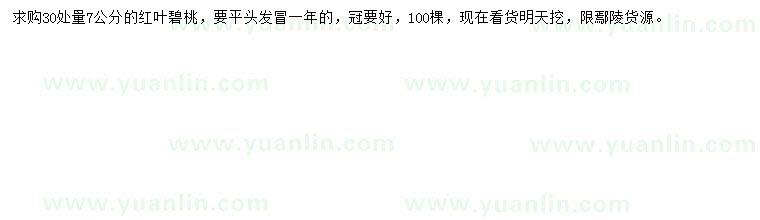求購30量7公分紅葉碧桃