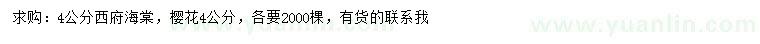 求購4公分西府海棠、櫻花