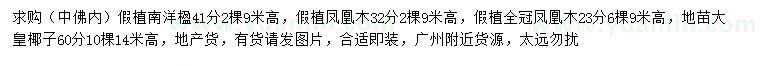 求購南洋楹、鳳凰木、大王椰子