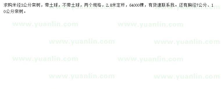 求購米徑3公分、胸徑7、10公分欒樹