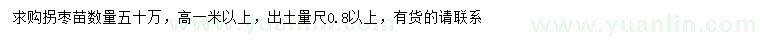 求購高1米以上拐棗苗