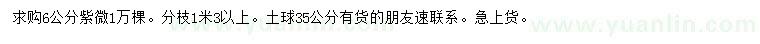 求購(gòu)6公分紫微