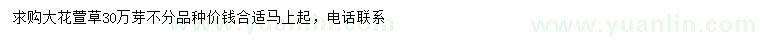 求購(gòu)大花萱草