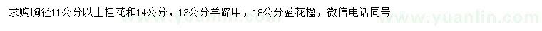 求購桂花、羊蹄甲、藍花楹