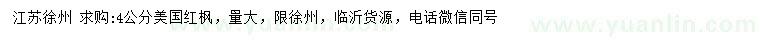 求購4公分美國紅楓