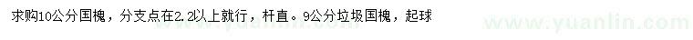 求購(gòu)10公分國(guó)槐、9公分垃圾國(guó)槐