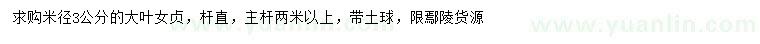 求購米徑3公分大葉女貞