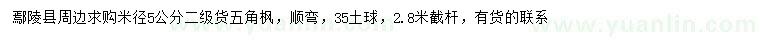 求購米徑5公分五角楓