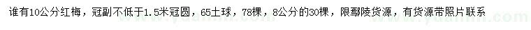 求購8、10公分紅梅