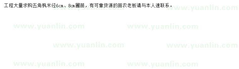 求購米徑6公分五角楓