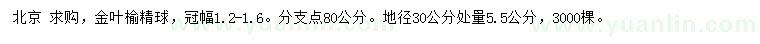 求購地徑30公分處量5.5公分金葉榆精球