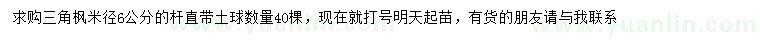 求購米徑6公分三角楓