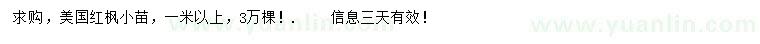 求購(gòu)1米以上美國(guó)紅楓小苗