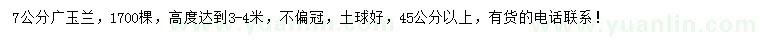 求購7公分廣玉蘭