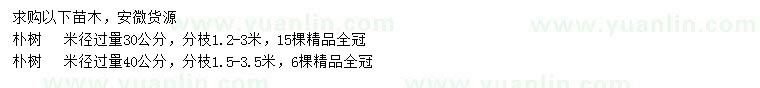 求購(gòu)米徑30、40公分樸樹(shù)