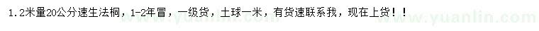 求購(gòu)1.2米量20公分速生法桐