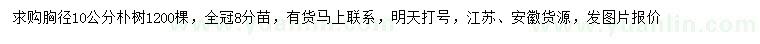 求購胸徑10公分樸樹
