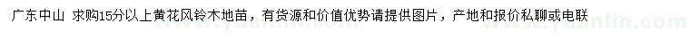 求購15公分以上黃花風(fēng)鈴木
