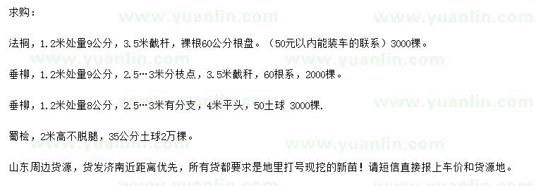 求購(gòu)法桐、垂柳、蜀檜