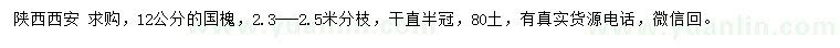 求購12公分國槐