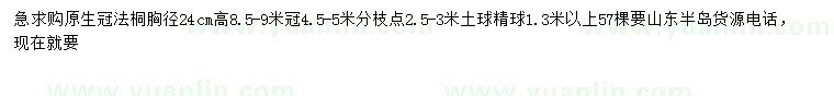 求購(gòu)胸徑24公分法桐