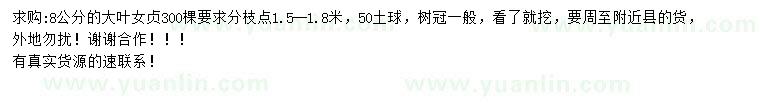 求購8公分大葉女貞