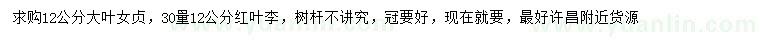 求購(gòu)12公分大葉女貞、30量12公分紅葉