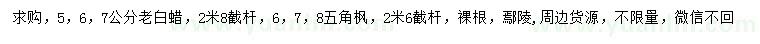 求購5、6、7公分老白蠟、6、7、8公分五角楓