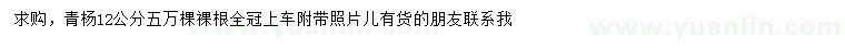 求購12公分青楊