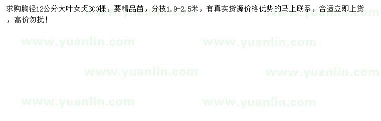 求購(gòu)胸徑12公分大葉女貞