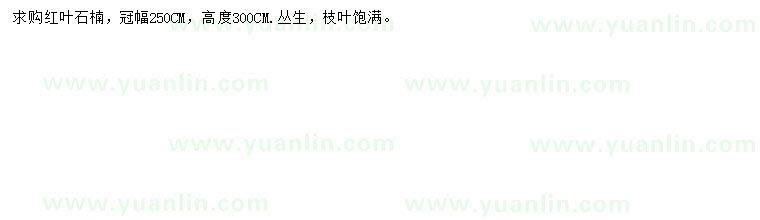 求購(gòu)冠幅250公分紅葉石楠