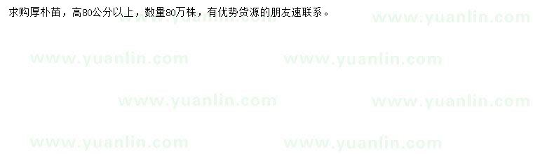 求購高80公分以上厚樸苗