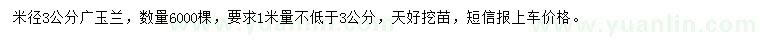 求購米徑3公分廣玉蘭
