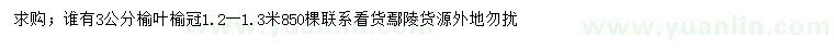 求購3公分榆葉榆
